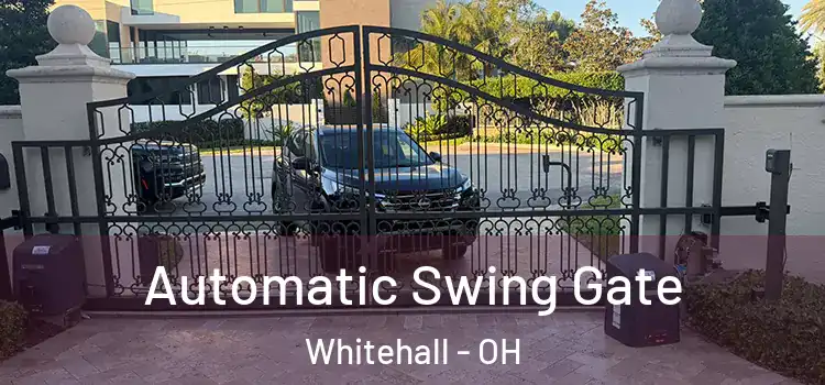 Automatic Swing Gate Whitehall - OH