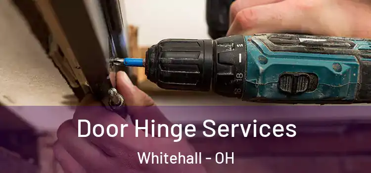  Door Hinge Services Whitehall - OH