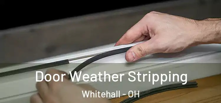  Door Weather Stripping Whitehall - OH