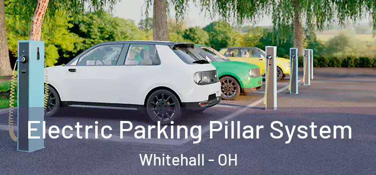Electric Parking Pillar System Whitehall - OH