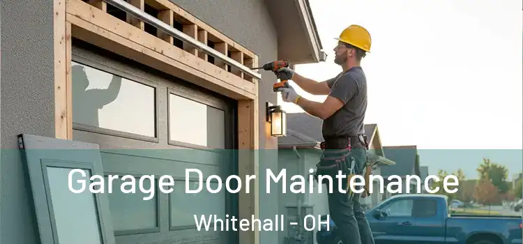 Garage Door Maintenance Whitehall - OH
