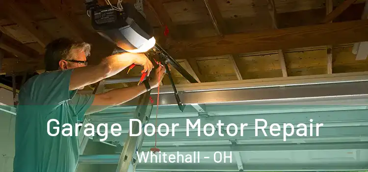  Garage Door Motor Repair Whitehall - OH