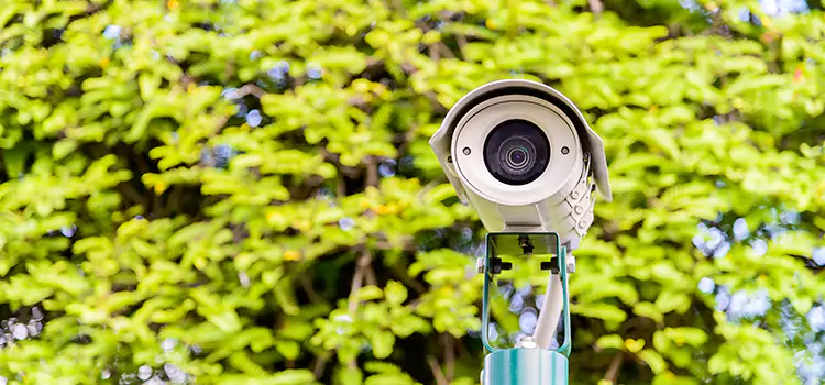 Advanced Surveillance Solutions for Every Need in Whitehall