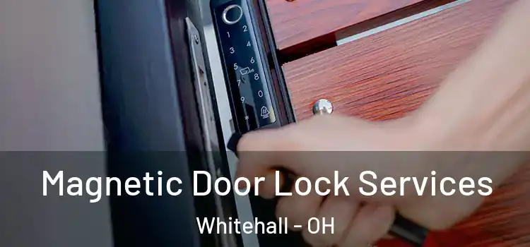 Magnetic Door Lock Services Whitehall - OH
