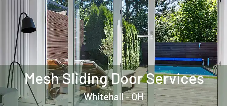 Mesh Sliding Door Services Whitehall - OH