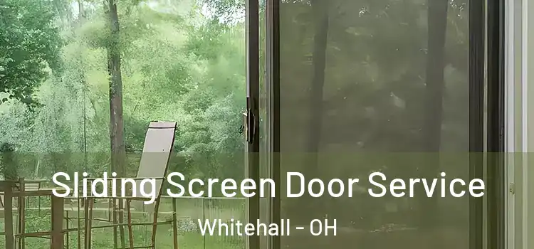 Sliding Screen Door Service Whitehall - OH
